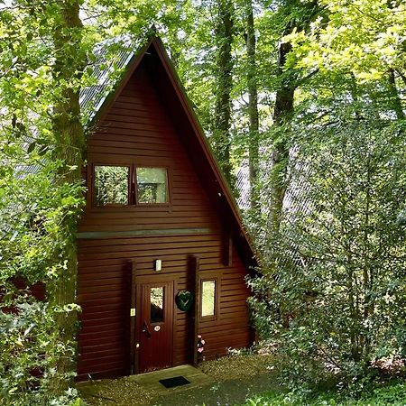 Peaceful Cowslip Lodge - Finlake Spa Resort In Devon Chudleigh Εξωτερικό φωτογραφία