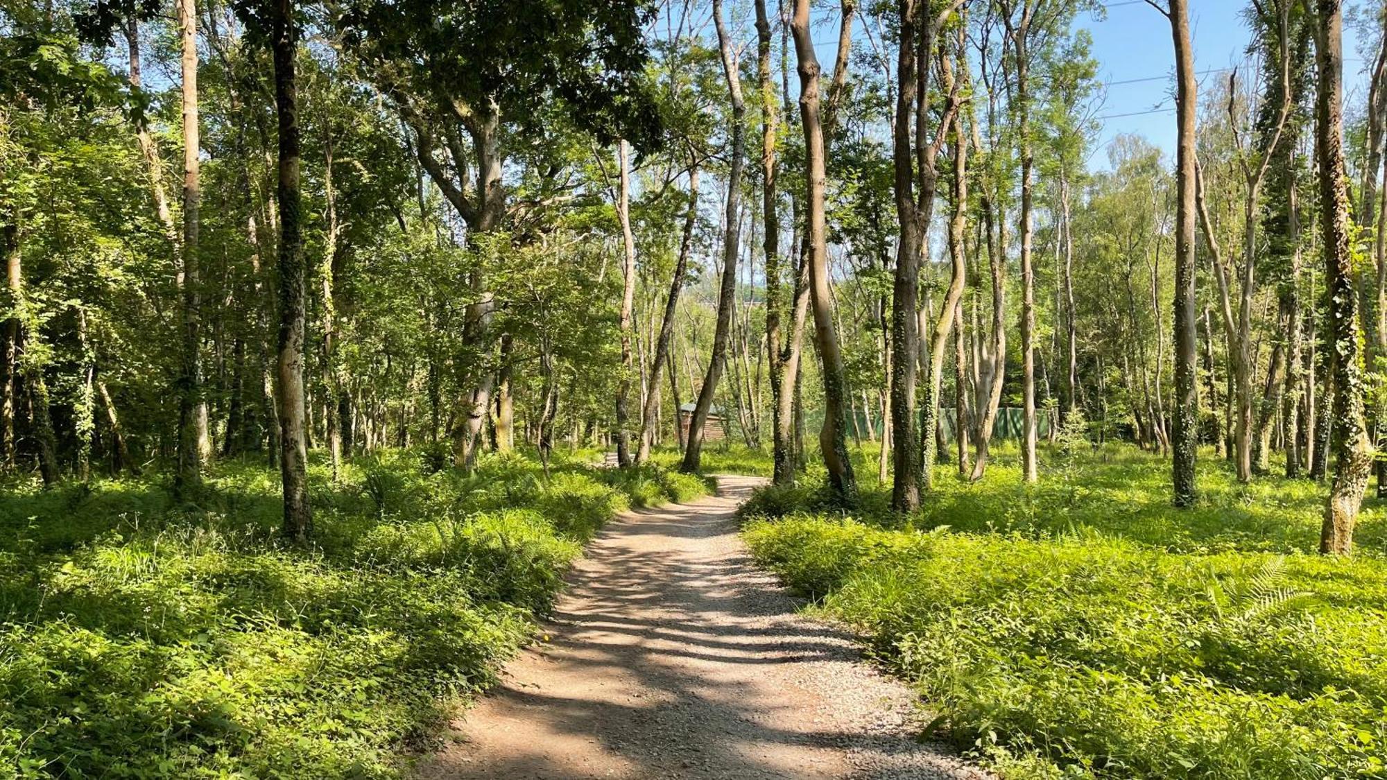 Peaceful Cowslip Lodge - Finlake Spa Resort In Devon Chudleigh Εξωτερικό φωτογραφία